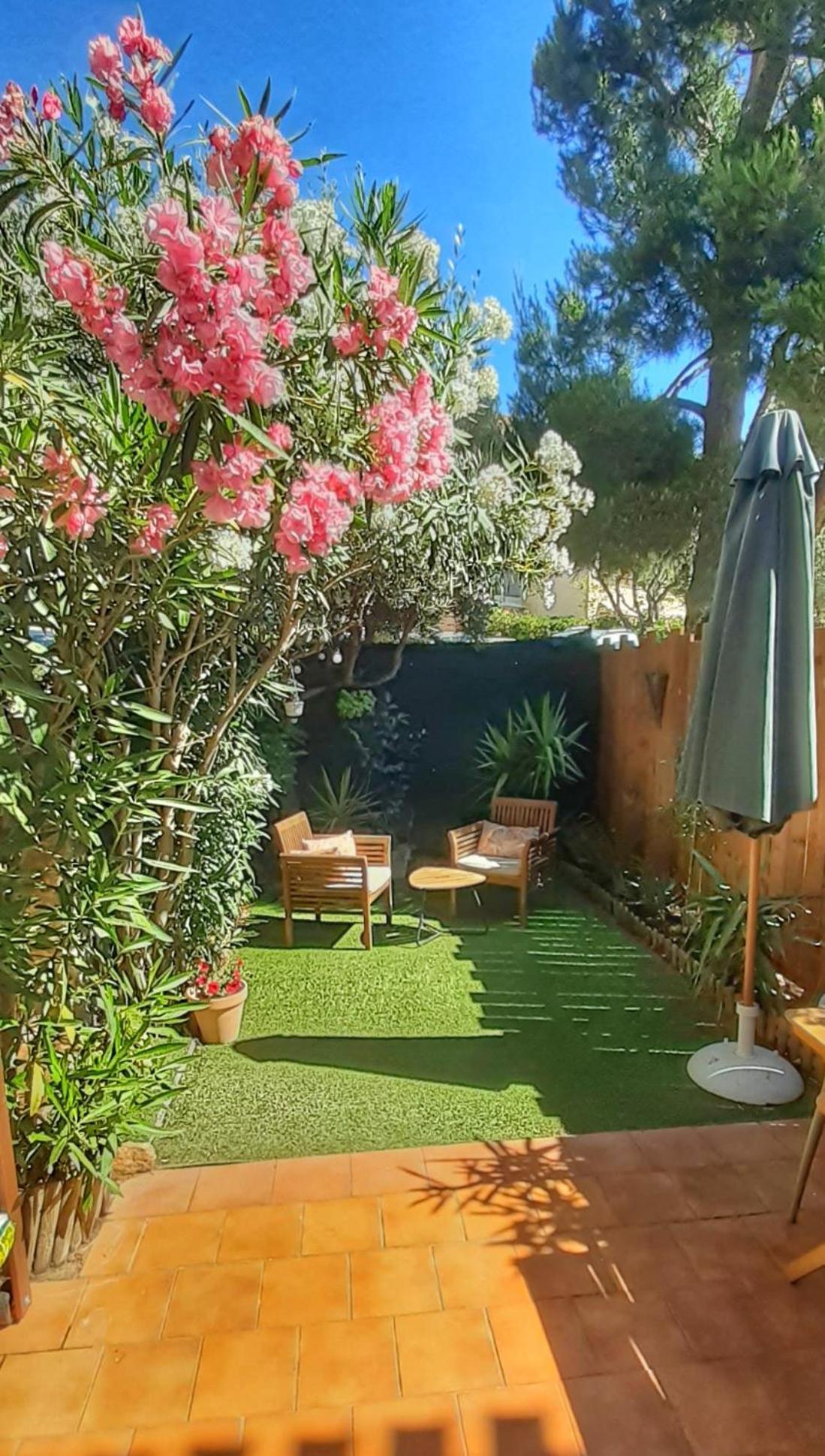 Studio Le Kokonati La Ciotat Dış mekan fotoğraf